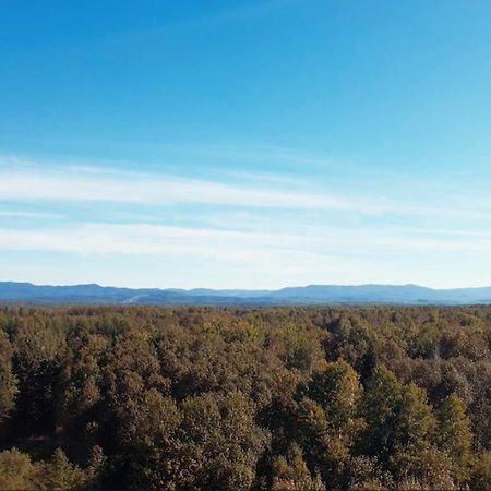 Au Pied Des Monts-Valin, Hebergement Touristique Saint-Honore Экстерьер фото